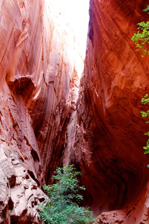 slot canyon