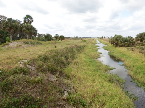 We went down the left side of the canal. Moccasin Island Tract, Brevard County, FL, 2/9/13