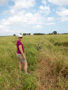 Moccasin Island Tract, Brevard County, FL, 2/9/13
