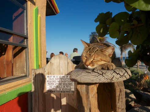 Cocoa Beach, FL, 10/20/13