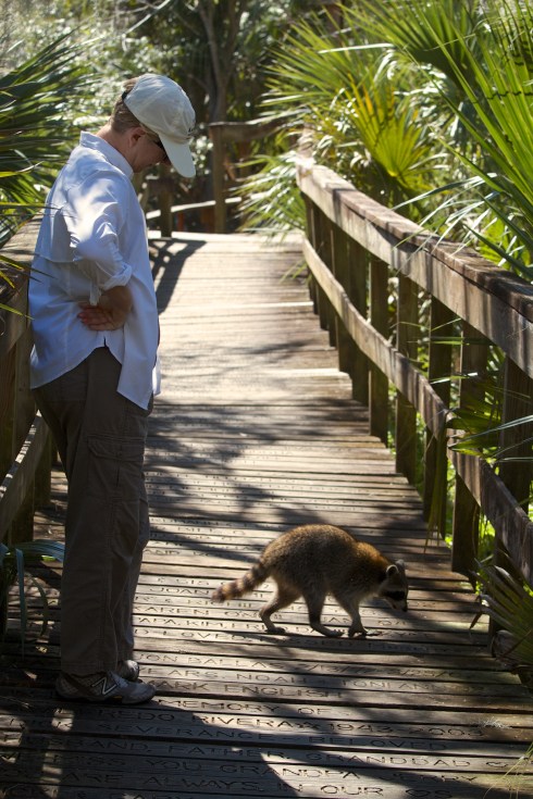 Turkey Creek Preserve Palm Bay, FL 2/16/14