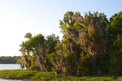 Sunset, Paynes Prairie State Park, FL 4/25/14