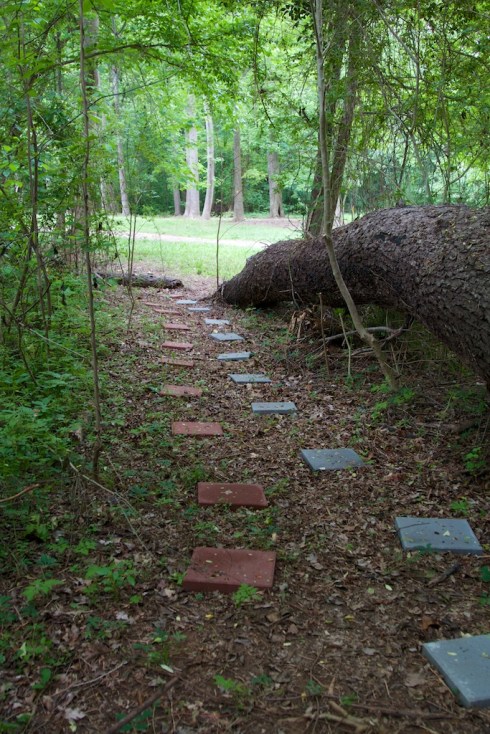 Roanoke Rapids Canal Trail, 5/10/14