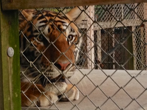 IMG_0575 - Version 2