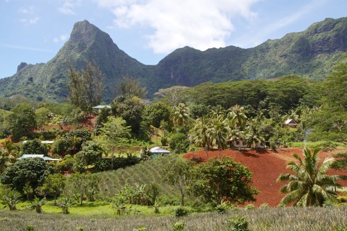 Interior shot of lush land & beautiful mountains, Moorea, 9/26/14