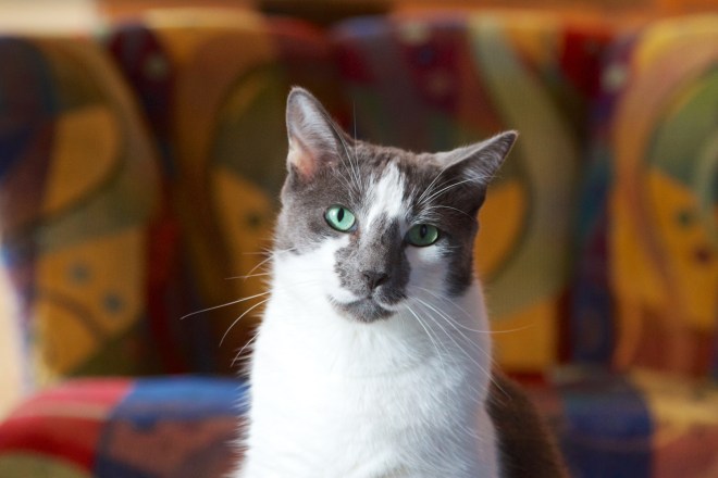 IMG_0030 - Version 2