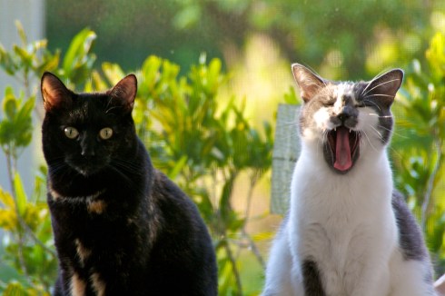 IMG_0056 - Version 2