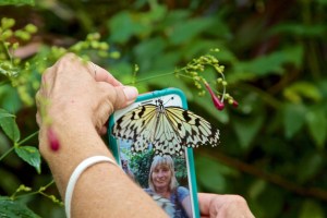 Florida Museum of Natural History, Gainesville, FL, 10/10/15