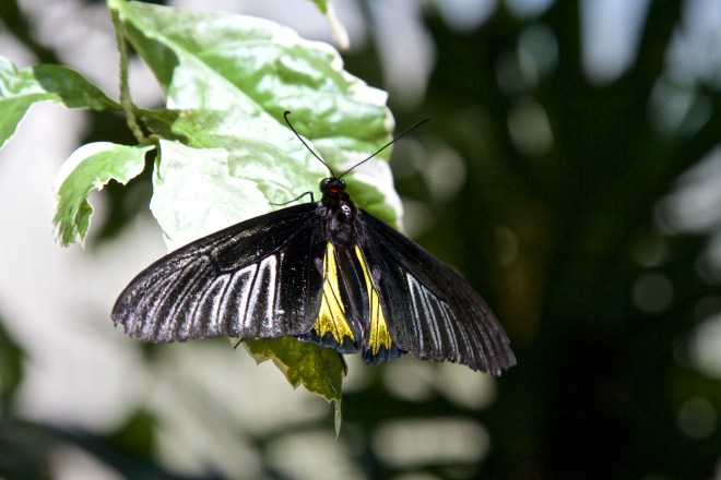 Florida Museum of Natural History, Gainesville, FL, 10/10/15