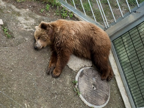 Bern, Switzerland, 6/2/16