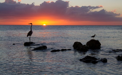 Christmas Sunset, North Captiva Island, FL