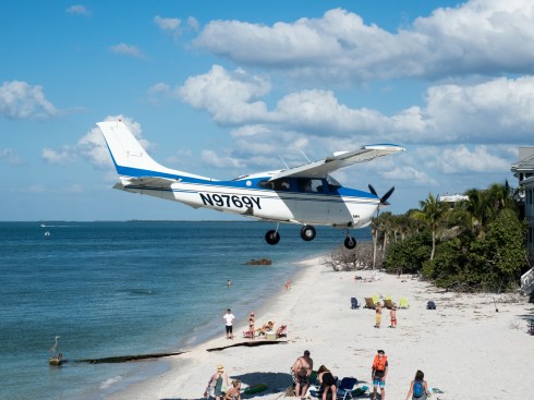 We were directly next to a grass airstrip and saw this all week. Christmas Day, North Captiva Island, FL